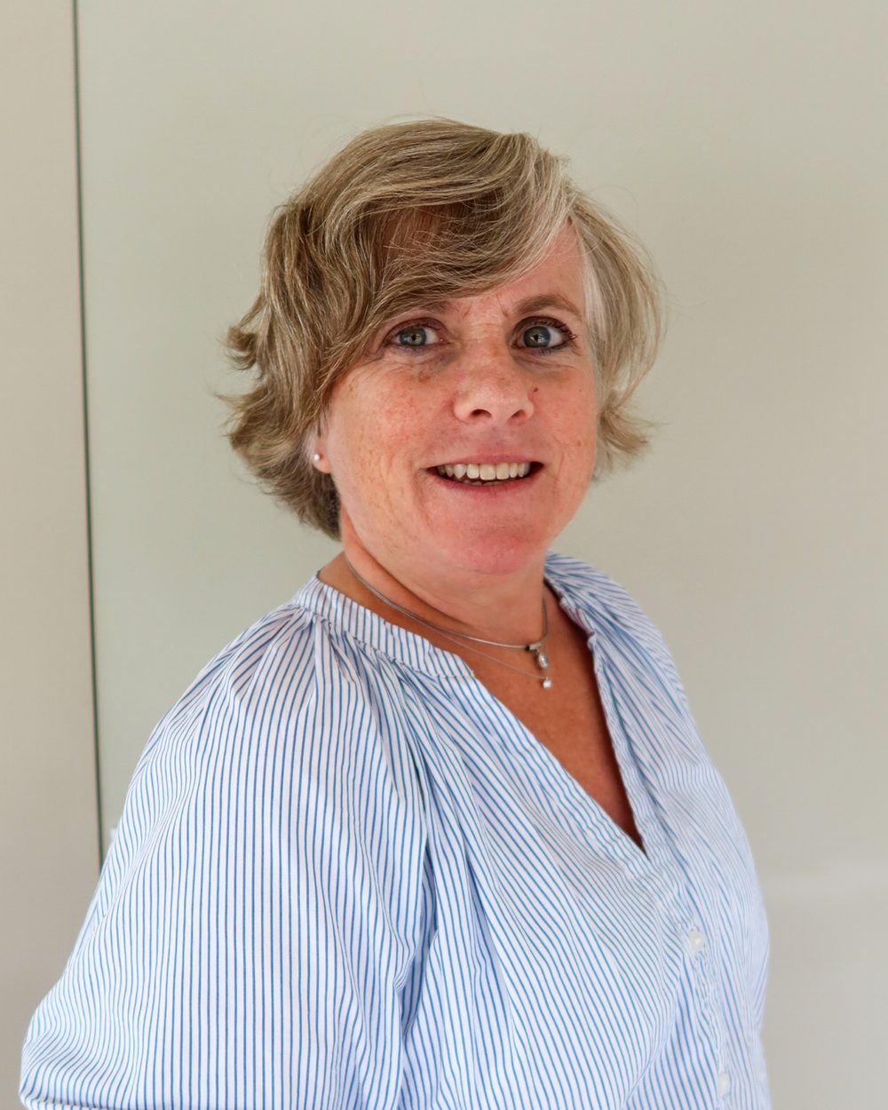 Krista De Clercq, Europees octrooigemachtigde